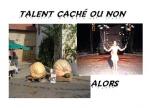 la soir talent cach ou non